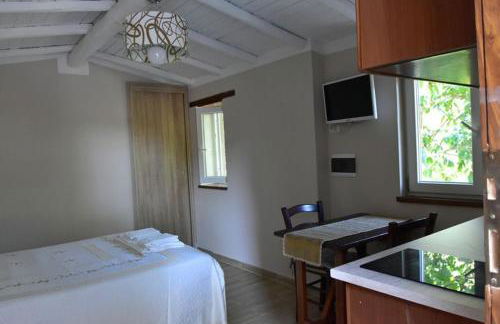 la casetta delle more (monolocale) - Photo 7