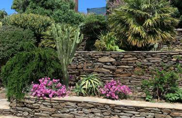 ΠΕΤΡΙΝΟ στην Άνδρο - Foto 25