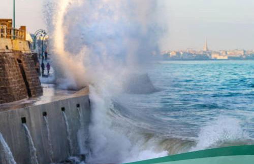 Appartement cosy 1 chambre Saint-Malo - Foto 28