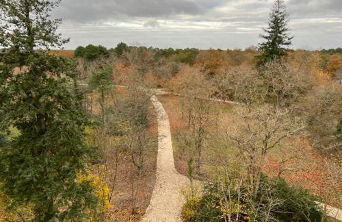 Tour du Bignon 30 beds 2 cottages 15 - Photo 59