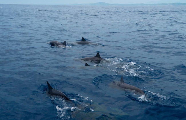 Barco por la bahía de Santa Cruz al amanecer - Foto 6