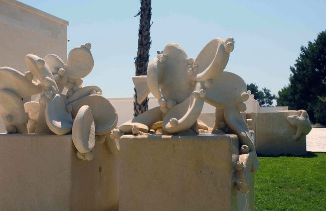 La Brunese - Foto 36