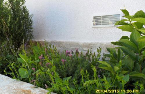 Apartments Val - Photo 25