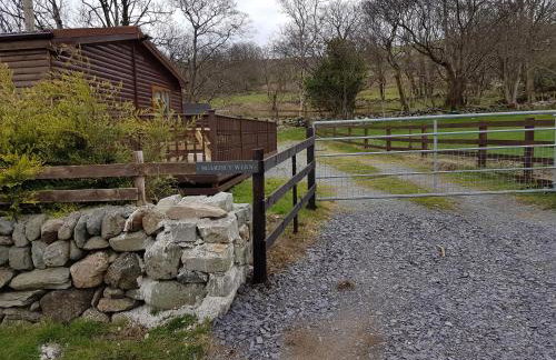 Buarth Wern - Foto 4