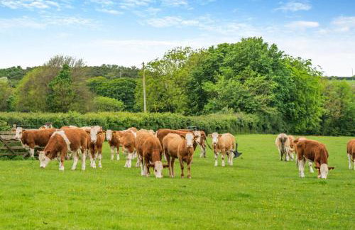 4 Bed in Abbotsham oc-r29365 - Photo 25