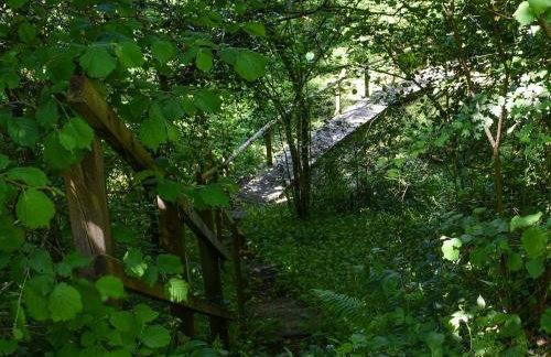 Woodland Retreat - Foto 31