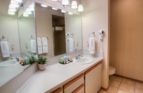 The Grey Gull - Foto 102