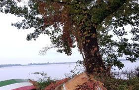 Przystan Zegrze - Foto 12