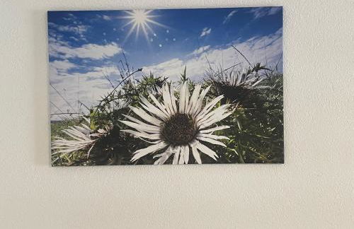 Ferienwohnung an der Linde - Foto 32