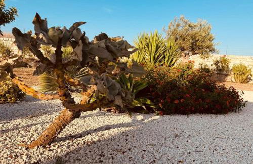 Papalei La Maison - Foto 44