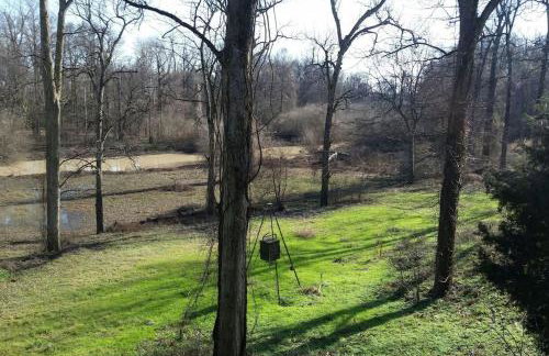 Sunflower Cottage on the River - Foto 17