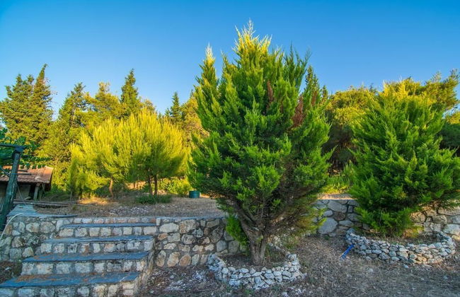 Villa Elatia - Foto 38