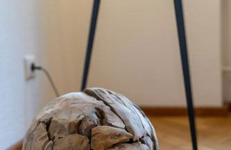 Stadtvilla Falkenstein - Foto 4