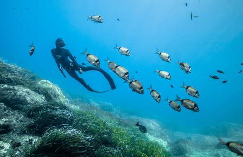 Les Soleiades - Foto 15