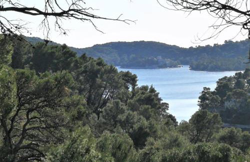 Agriculture & Holiday house Lasko - Photo 16