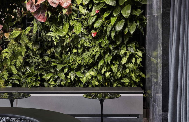 Shadow Play by Peppers - Photo 55