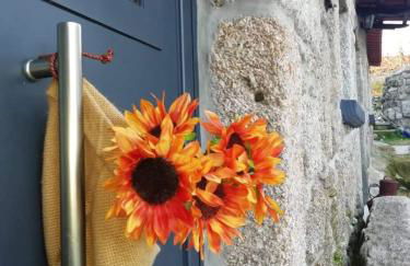 O Cantinho da Ana - Foto 48