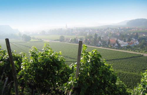 Weingut Landerer - Foto 14