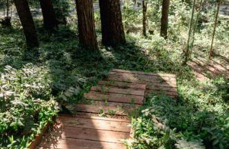 70s Retro Retreat Nevada City - Foto 46