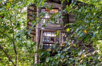 Treetop Hideaways: Luna Loft Treehouse - Foto 16