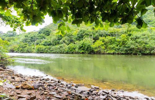 MANGA · Mangaratiba Beach Vibes! - Foto 30