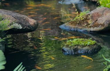 Tranquil 4 bedroom - Foto 15