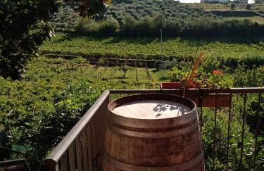 Poggio agli Ulivi vicolo di Colle Reti 22 Frascati - Foto 46