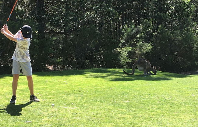 Laguna Lodge Holiday Units - Photo 41