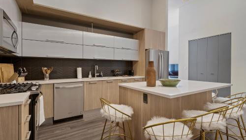 Experience Downtown Chicago at Millennium - Luxury Apartments in The Loop - Foto 5