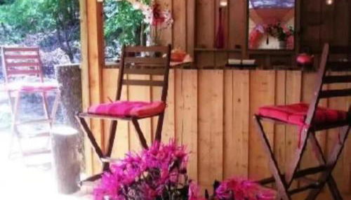 Cap Ferret Villa Grand Chalet Bois - Photo 4