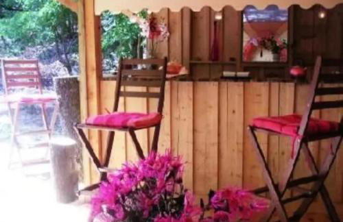 Cap Ferret Villa Grand Chalet Bois - Photo 4