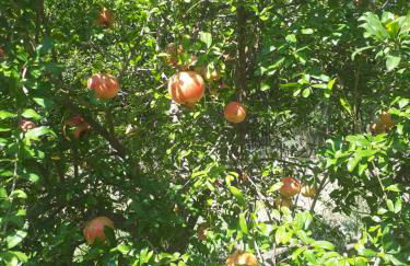 Villa Irini - Cretan Luxury Villa with Amazing View - Foto 49