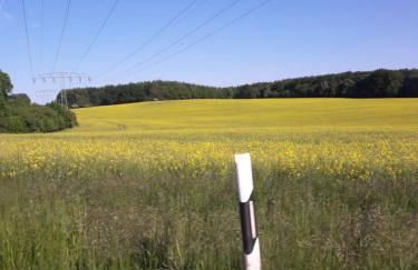 Ferienwohnung Garz - Foto 28