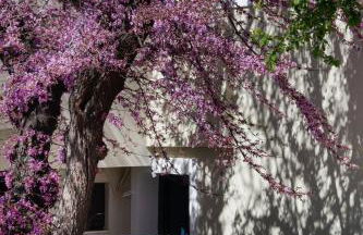 AV Suites - Giorgio - Photo 13