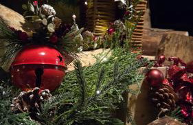 Forestview Cabin No 1 - cosy cabin stay - Foto 2