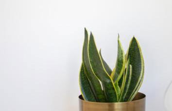 Quinta da Costeira - Casa Azul do Limoal by ALPONTE - Foto 39