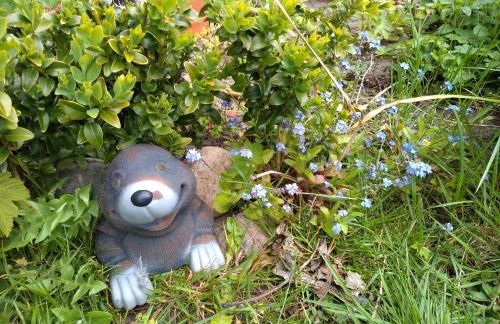 Charmantes Ferienhaus in Nordfriesland - Foto 77