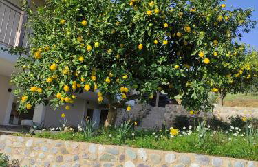 The House of the Rising Sun - Foto 18