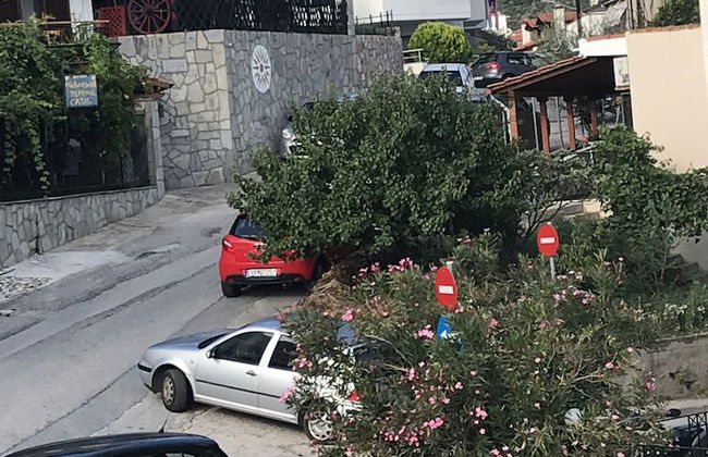 Natalie Apartments - Photo 50