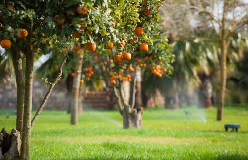 Hotel Rural Xereca - Foto 152