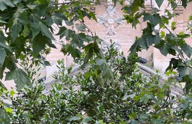 Très bel appartement mourillon T2 - Foto 25