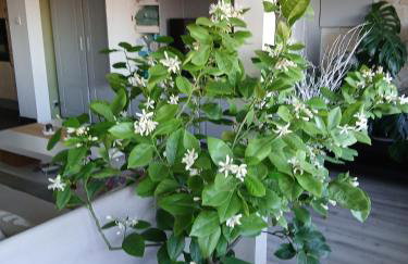 Le Coq De Champagne - Photo 20