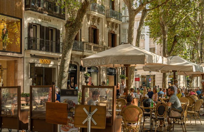 Ultimate Palma Tour: Historic Highlights Palaces, Gardens & Cathedral Tour - Foto 12
