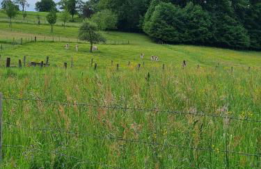 La Maison de choupette - Foto 11