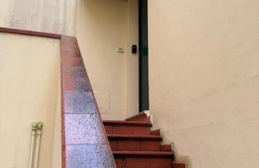 City Flowers - Photo 10
