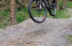 Mallard at Spring Head Farm - Foto 32