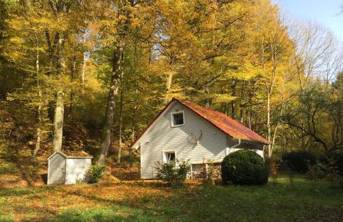 "das Waldhaus" - Foto 12