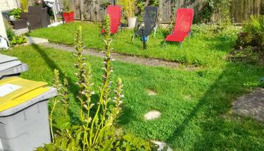 Maison à 20 min de Paris et liaison CDG (transports à 5 min à pied) - Foto 5