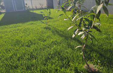 Apartament Nad Nielbą 6Bm2 z ogrodem - Foto 27