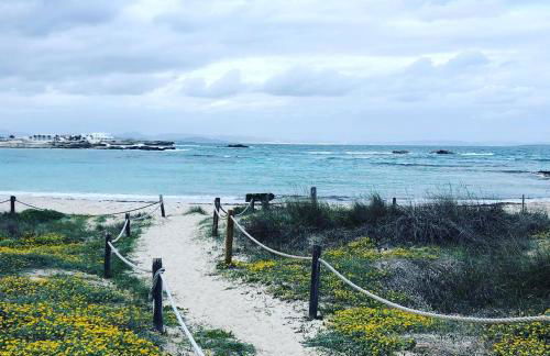 Edificio RexII - Foto 24